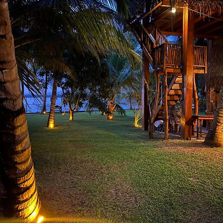 Yala Elephant Cottage Tissamaharama Exterior photo